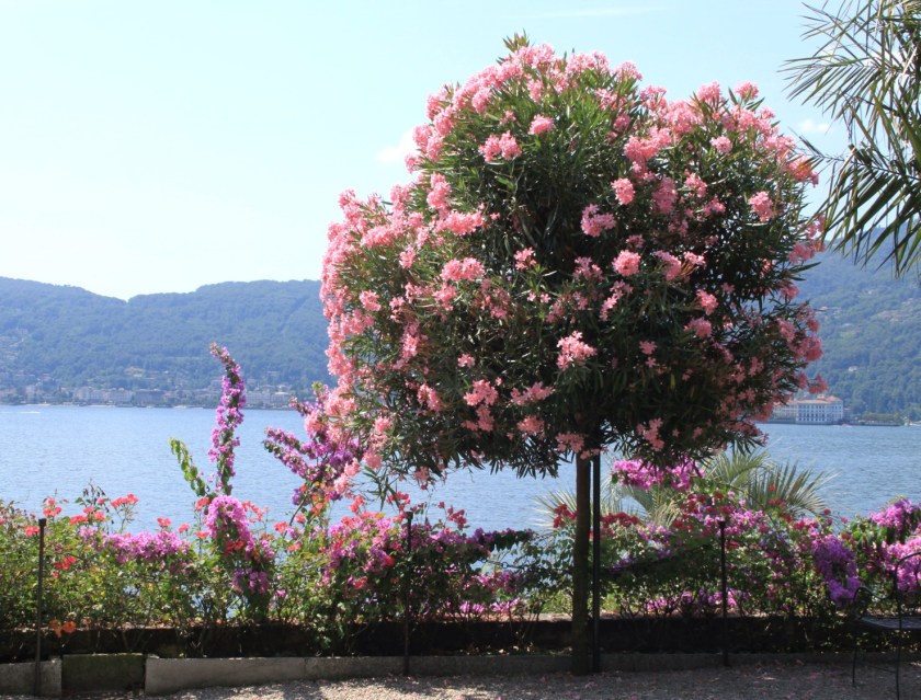 Botanisk have ved Lago Maggiore