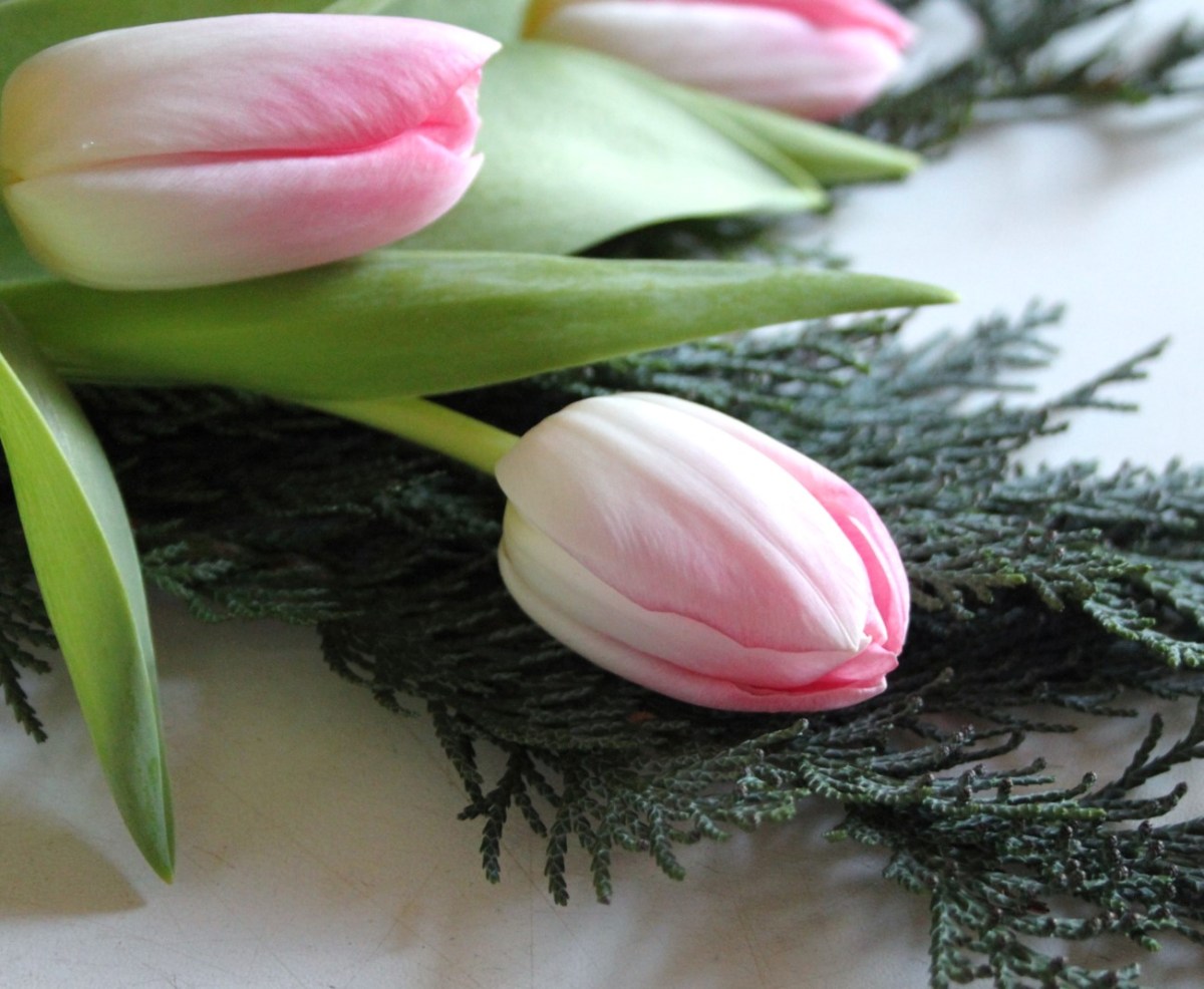 Onsdagstanker om ‘Mistrivsel’