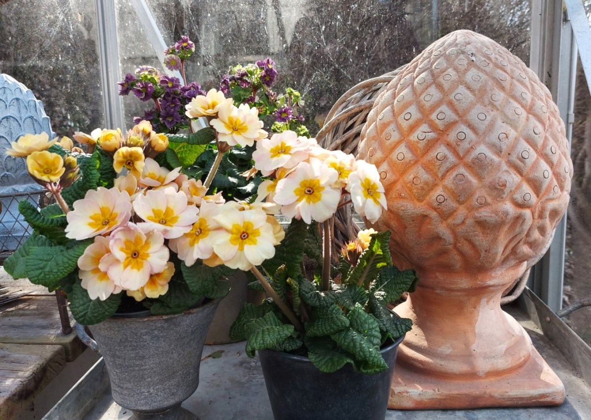 Den kedsom vinter gik sin&nbsp;gang