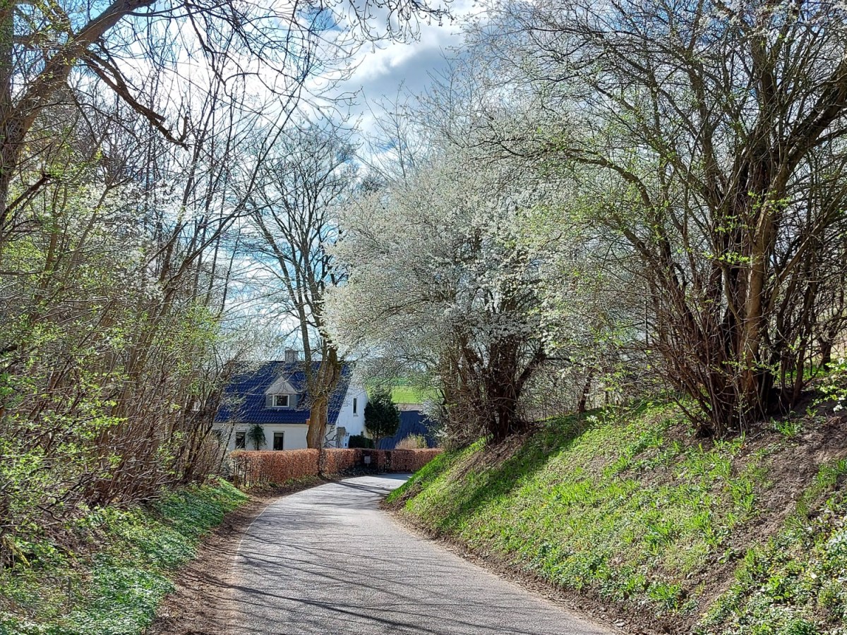 Er det en&nbsp;naturlov?