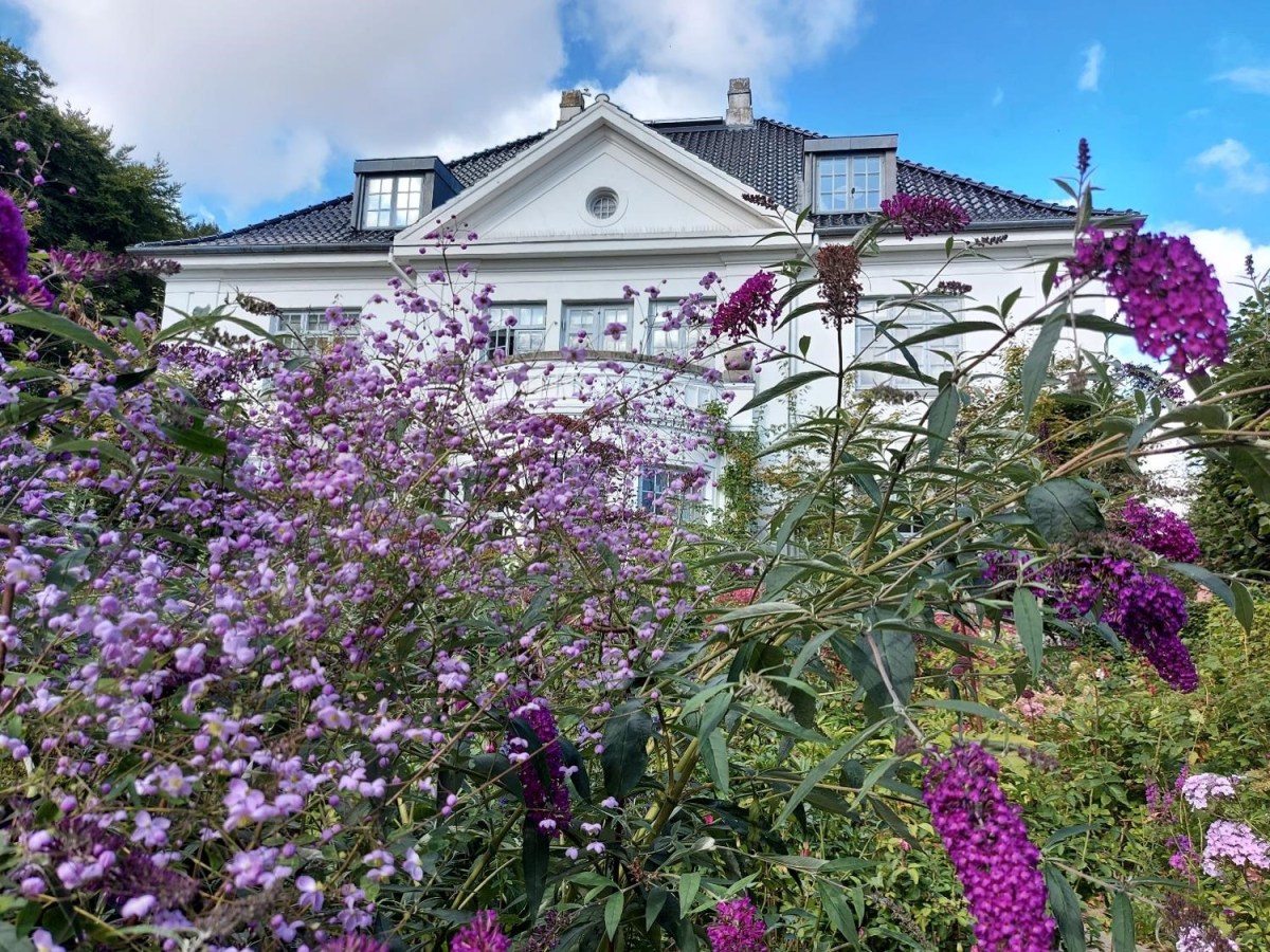 Sensommerbesøg i Claus Dalbys&nbsp;have