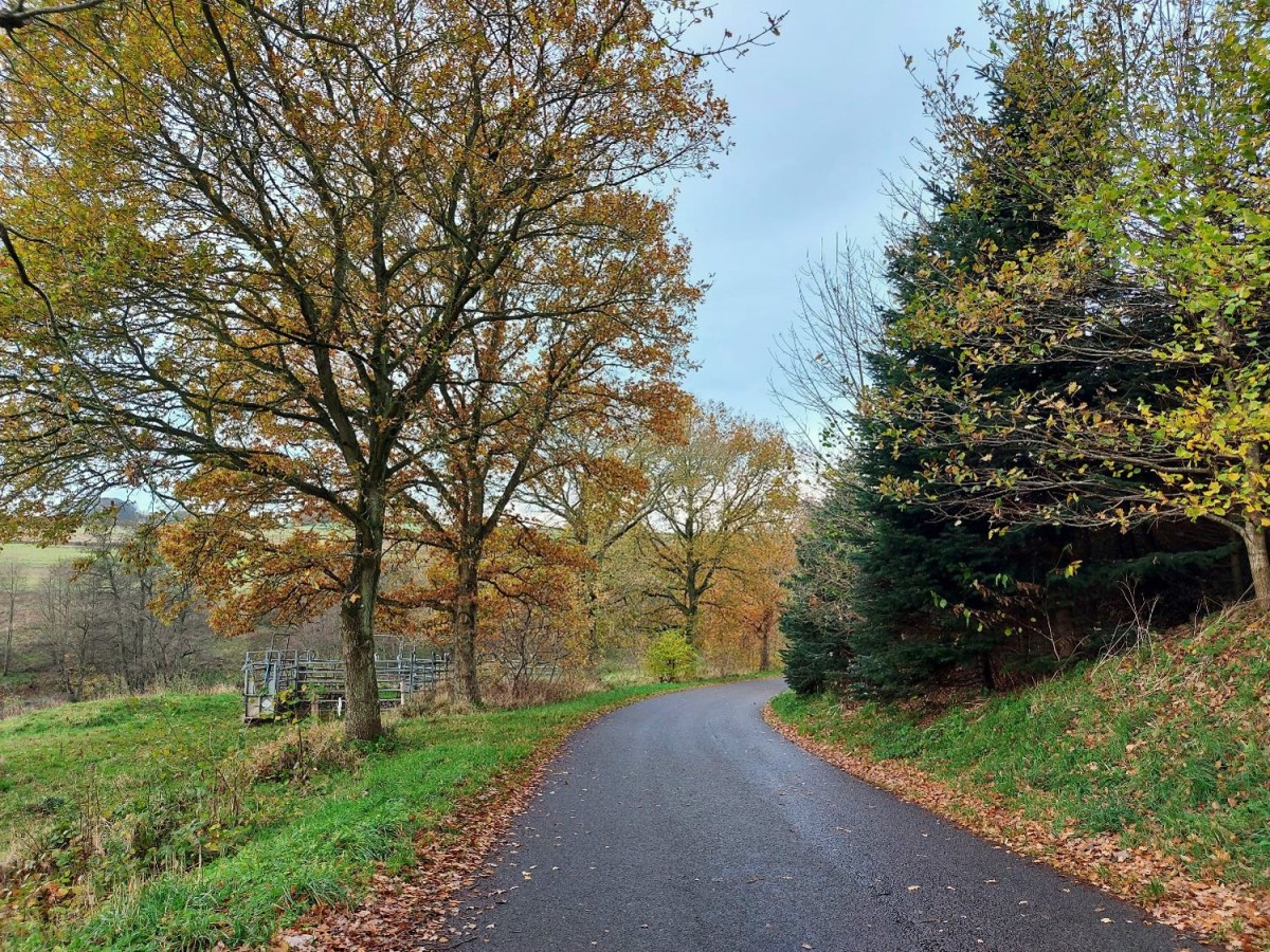 Tid til en lille, sen&nbsp;efterårsferie