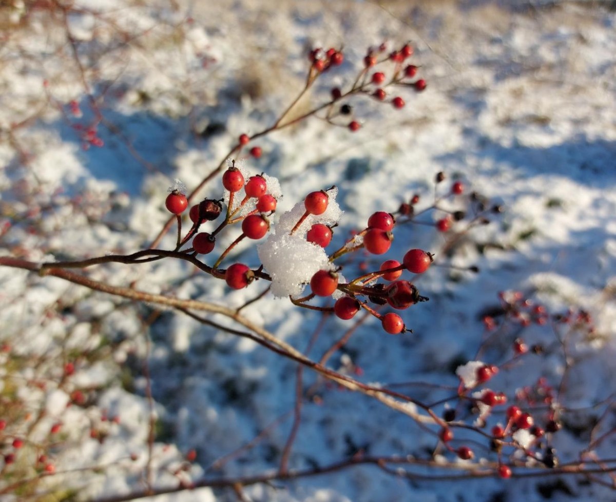 2024 må da blive bedre,&nbsp;ikke?