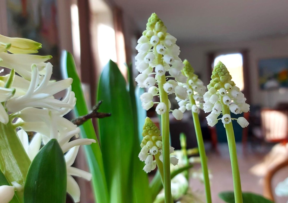 Målepinde i februar