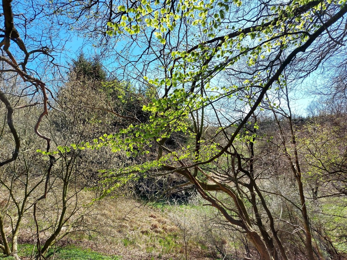 De bedste opskrifter og billeder fra 2022 – del&nbsp;1