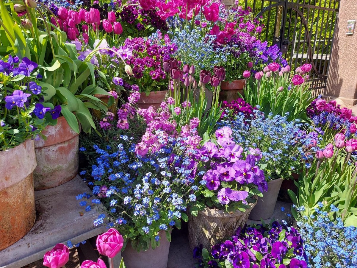 Forårsbesøg i Claus Dalbys&nbsp;have