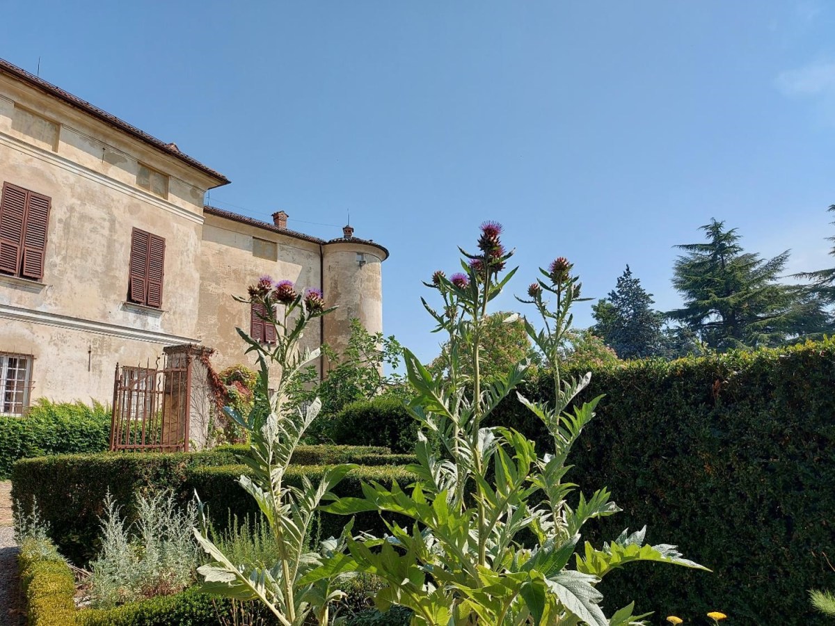 Castello di Rocca Grimalda – et slot og en slotshave i&nbsp;Piemonte