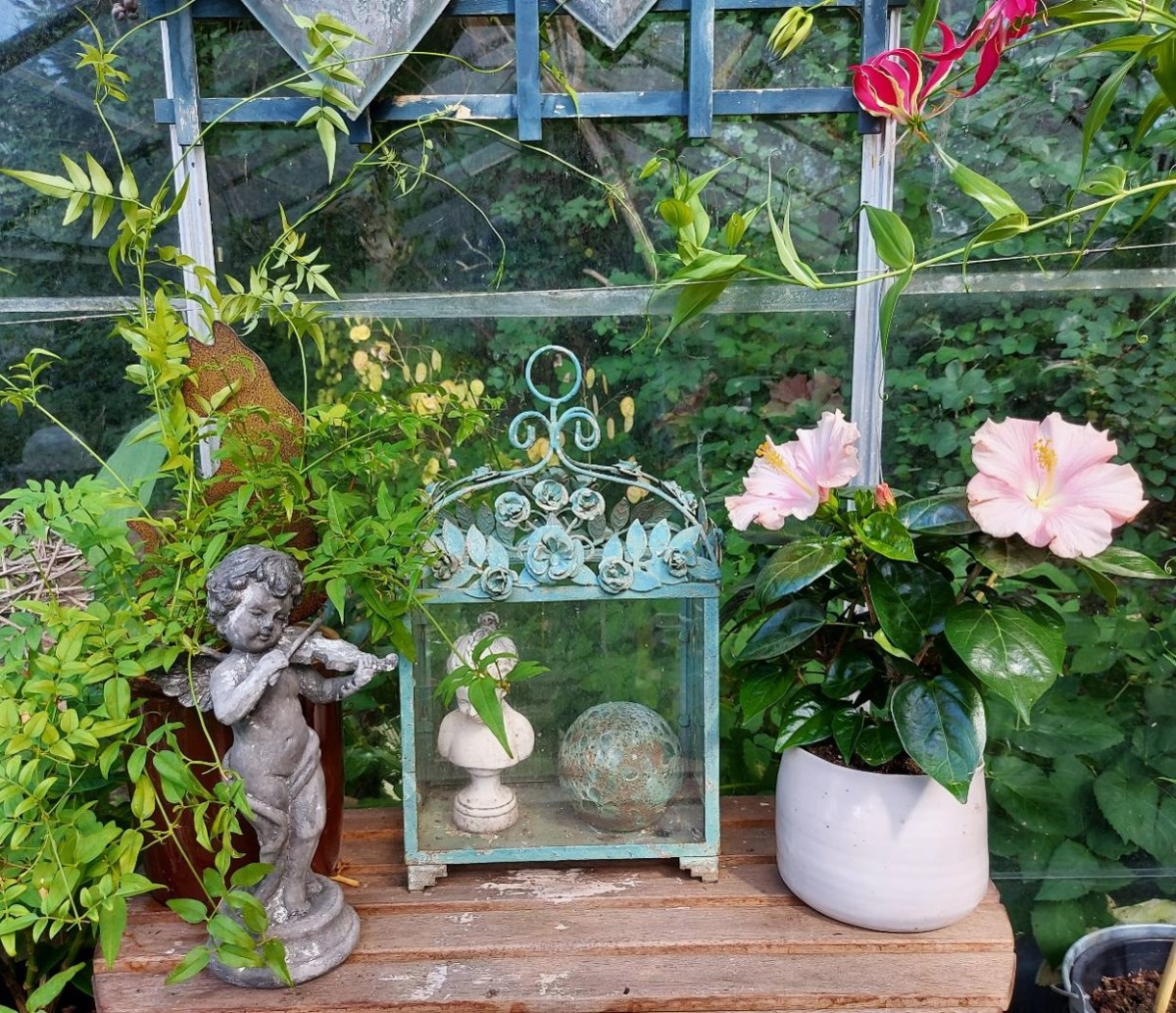 Romantik i drivhuset