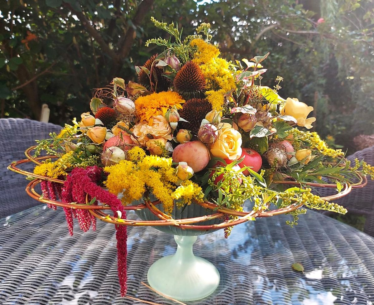 Lille sensommerbesøg i Aase og Ole Hviids dejlige&nbsp;have