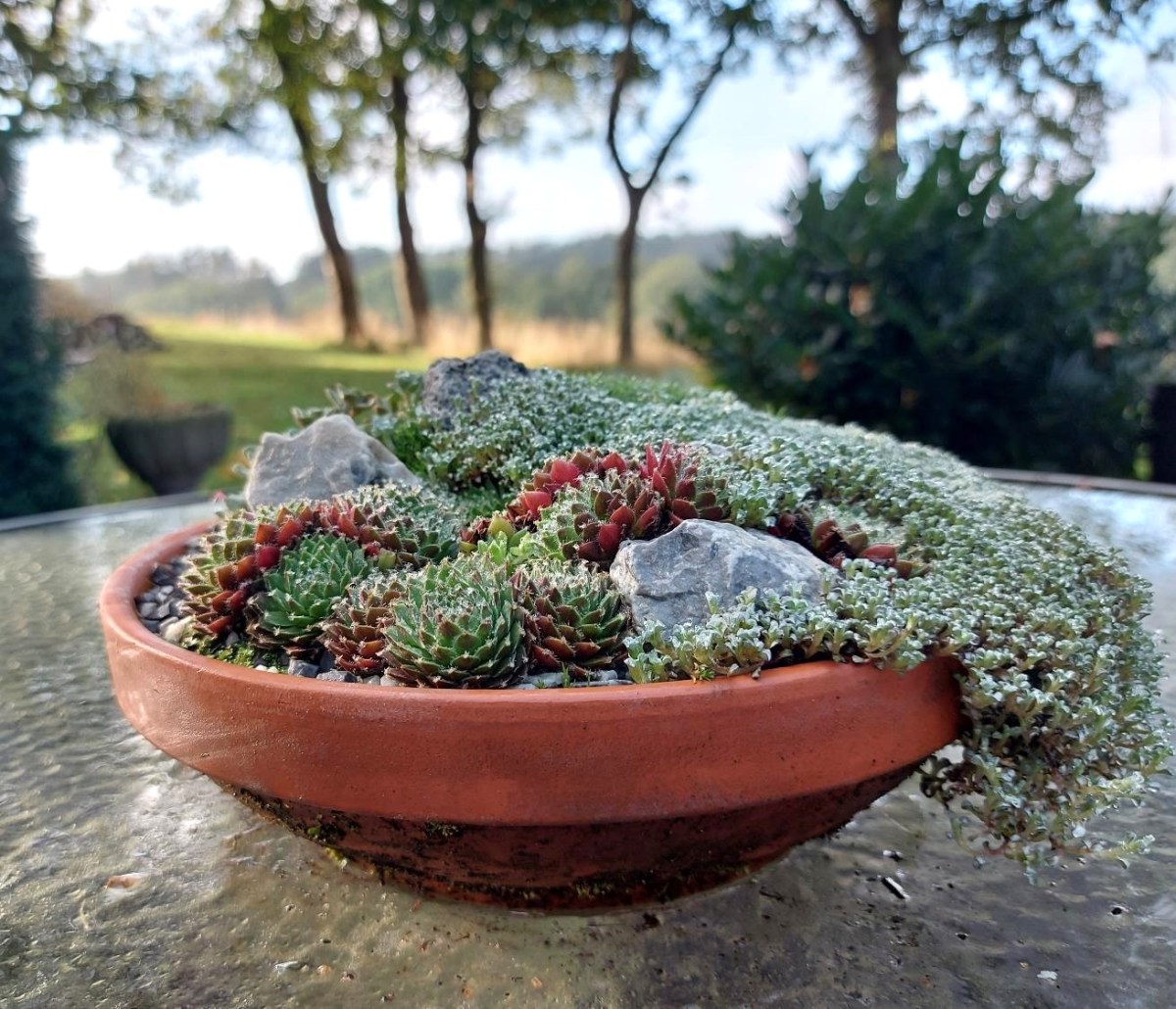 Morgentur i efterårshaven