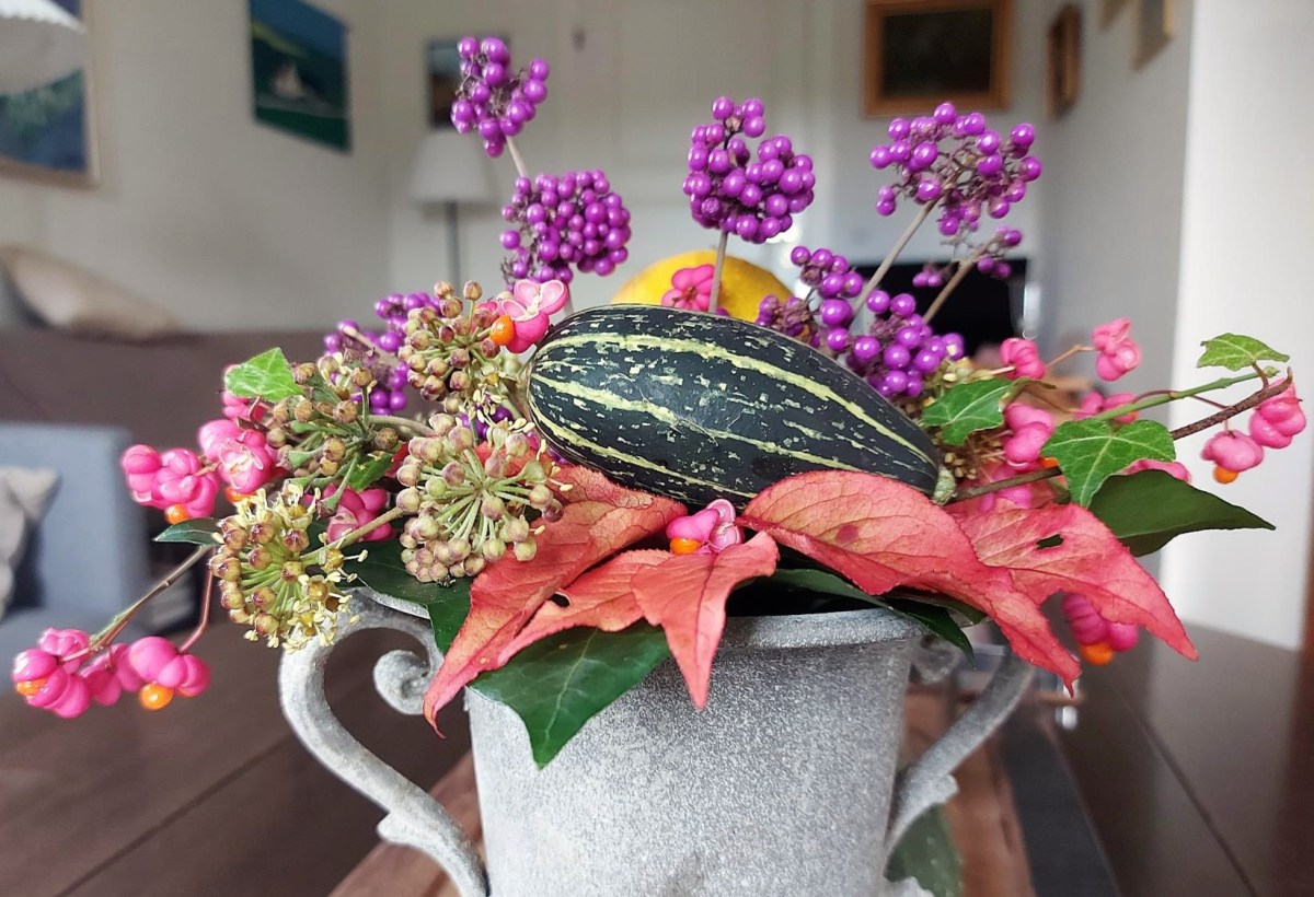 Haven leverer stadig&nbsp;efterårspynt