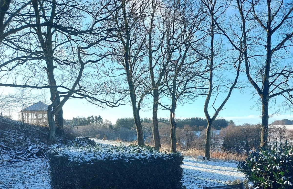 Onsdagstanker: Om fugle, hunde og Store&nbsp;Bededag