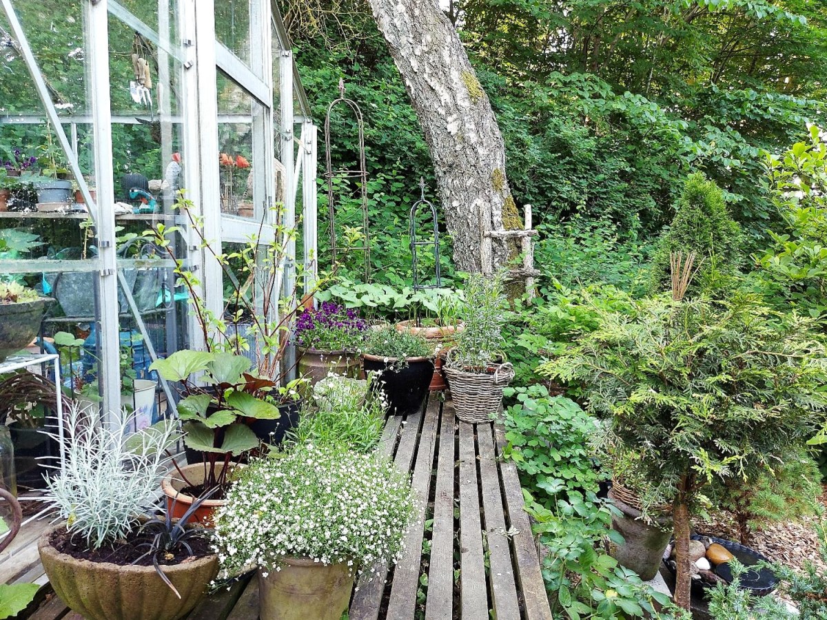 Krukker foran drivhuset