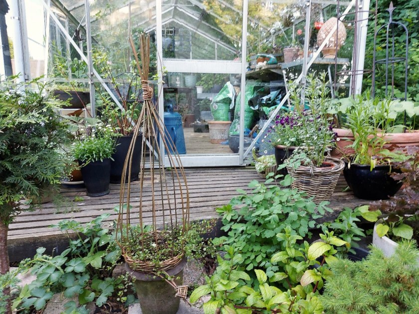 Krukker foran drivhuset