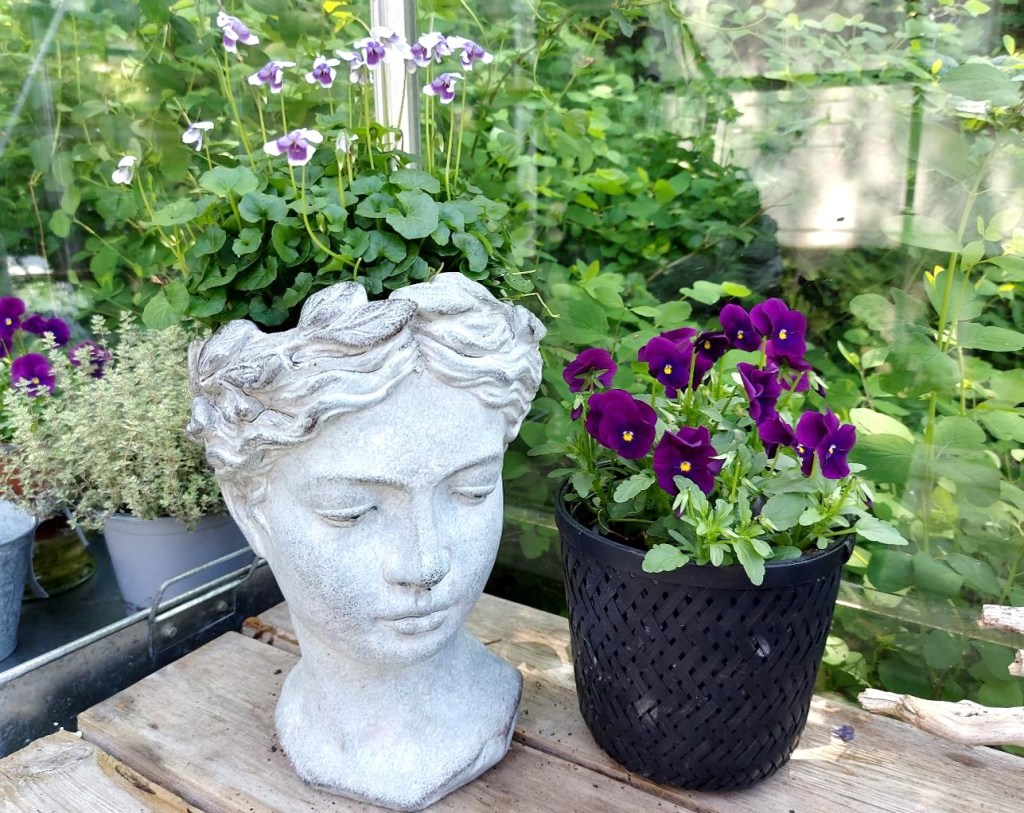 Fru Krukke med blomster i håret