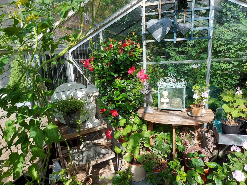 Frodighed i drivhuset