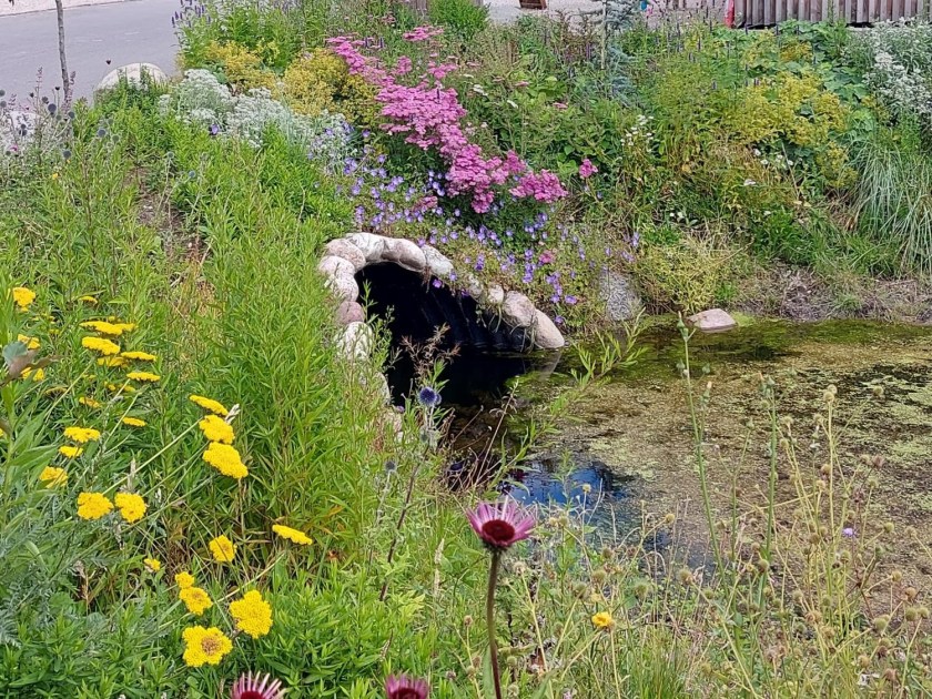 Skrænterne ved vandløbet er nu vokset til