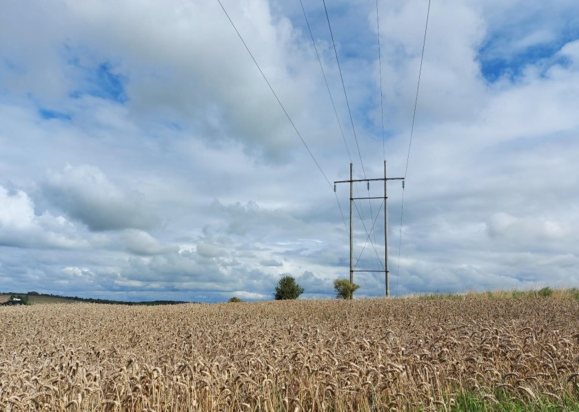 Hvedemark klar til høst
