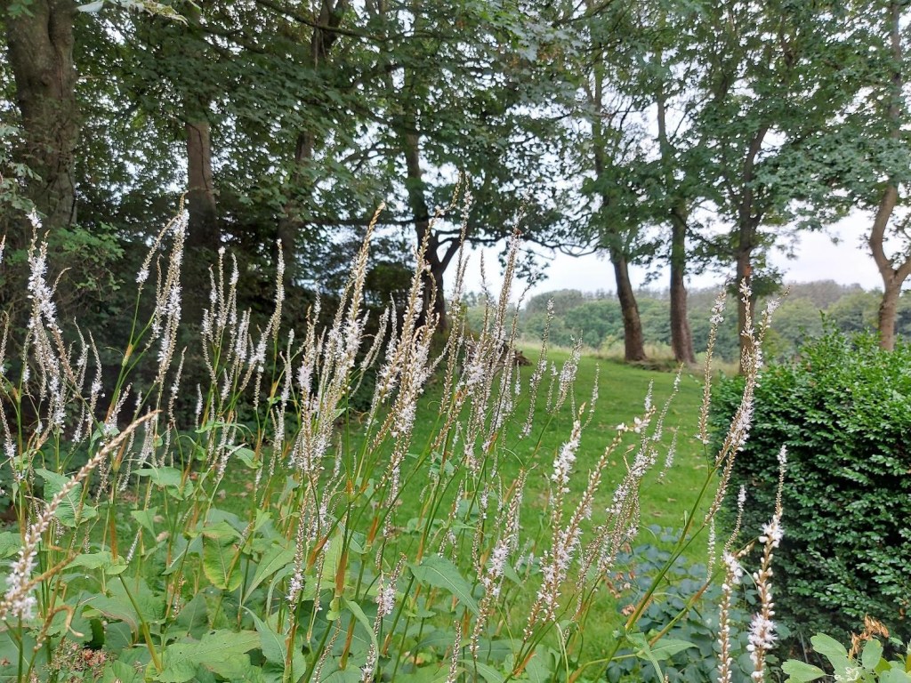 Kertepileurt står flot på trods af regn