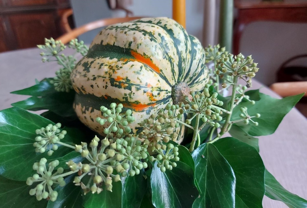 Nem dekoration med pyntegræskar – et enkelt&nbsp;pyntegræskar