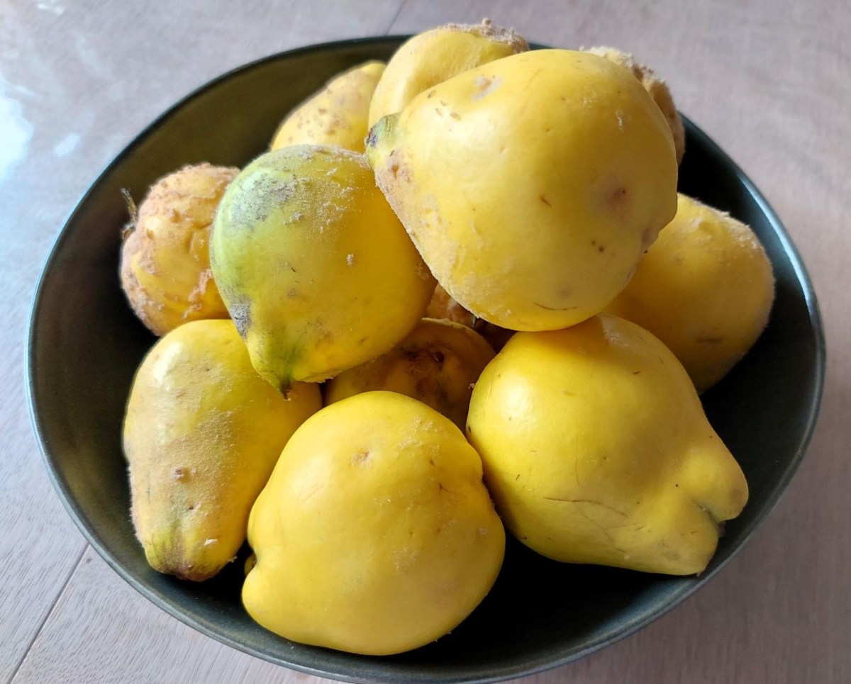 Kvædemarmelade med ingefær