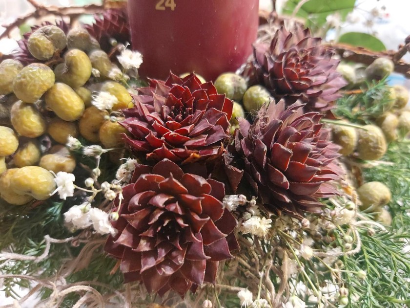 Røde husløg i samme farve som kalenderlyset.