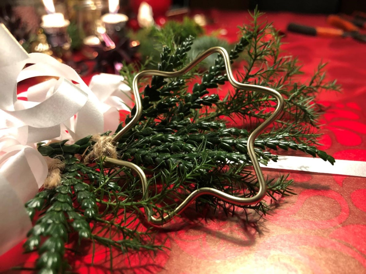 Stjerne bukket i bonsaitråd