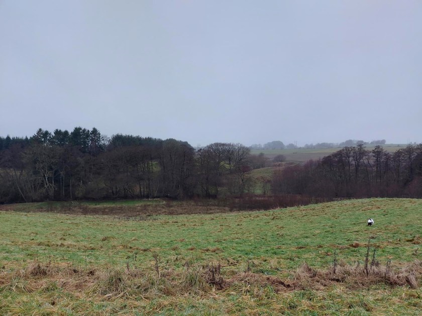 Gråt og vådt vinterlandskab