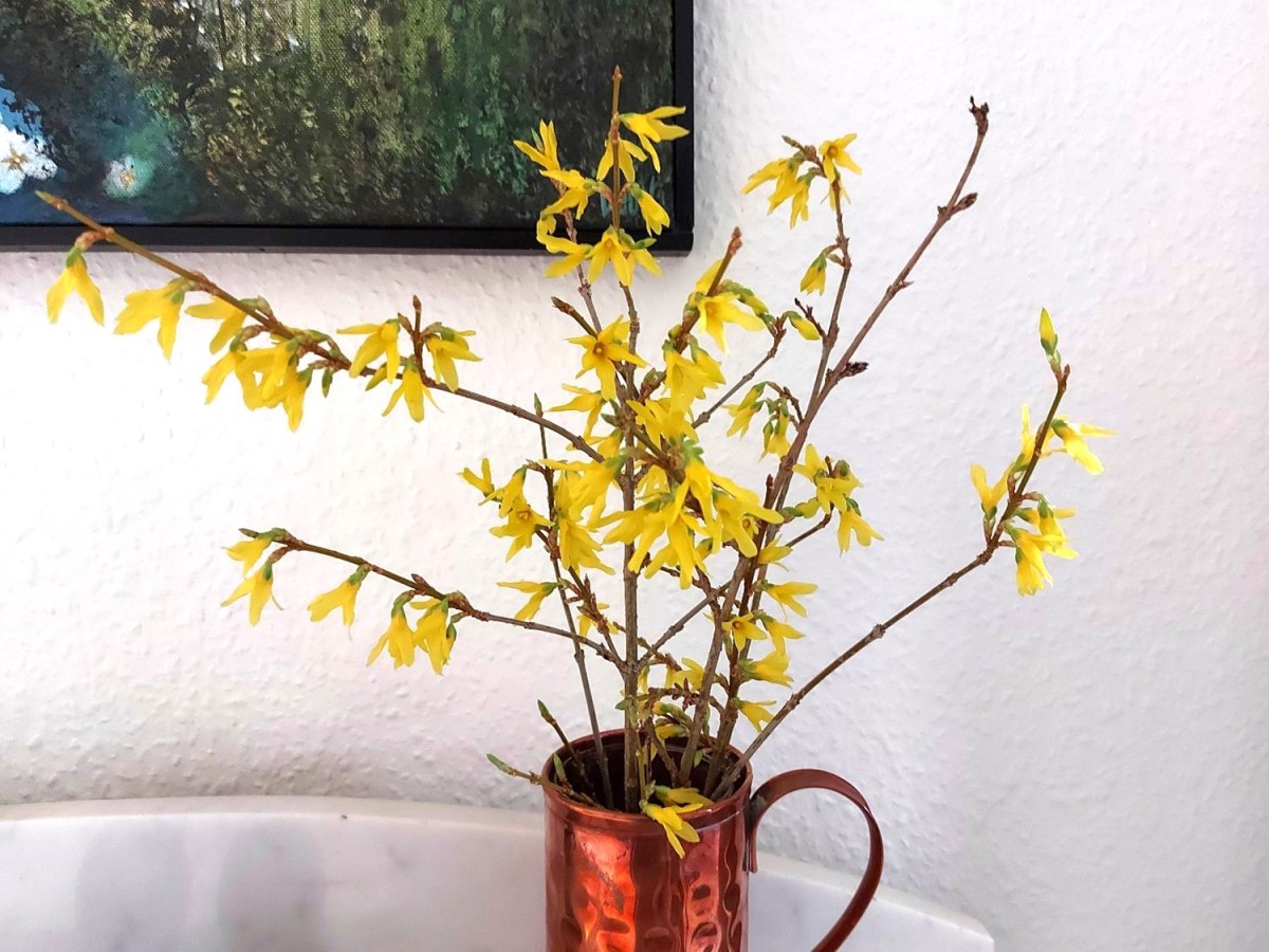 Tid til at drive grene&nbsp;inde