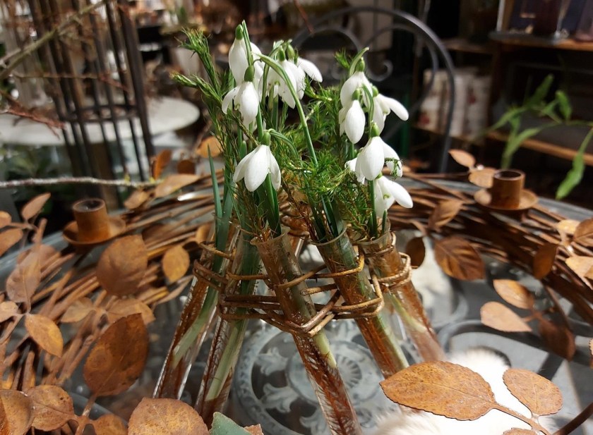 Deko med vintergækker