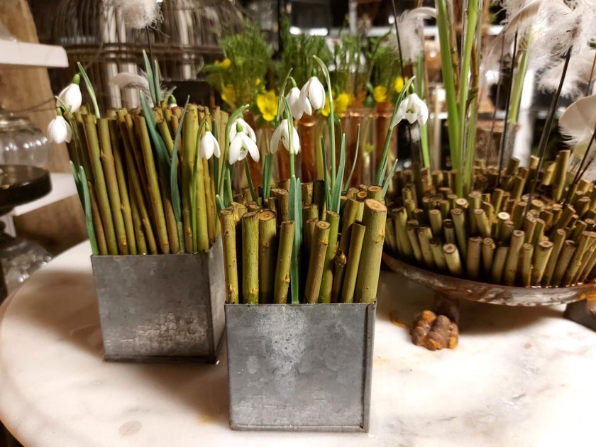 Små firkantede krukker med vintergækker og pil