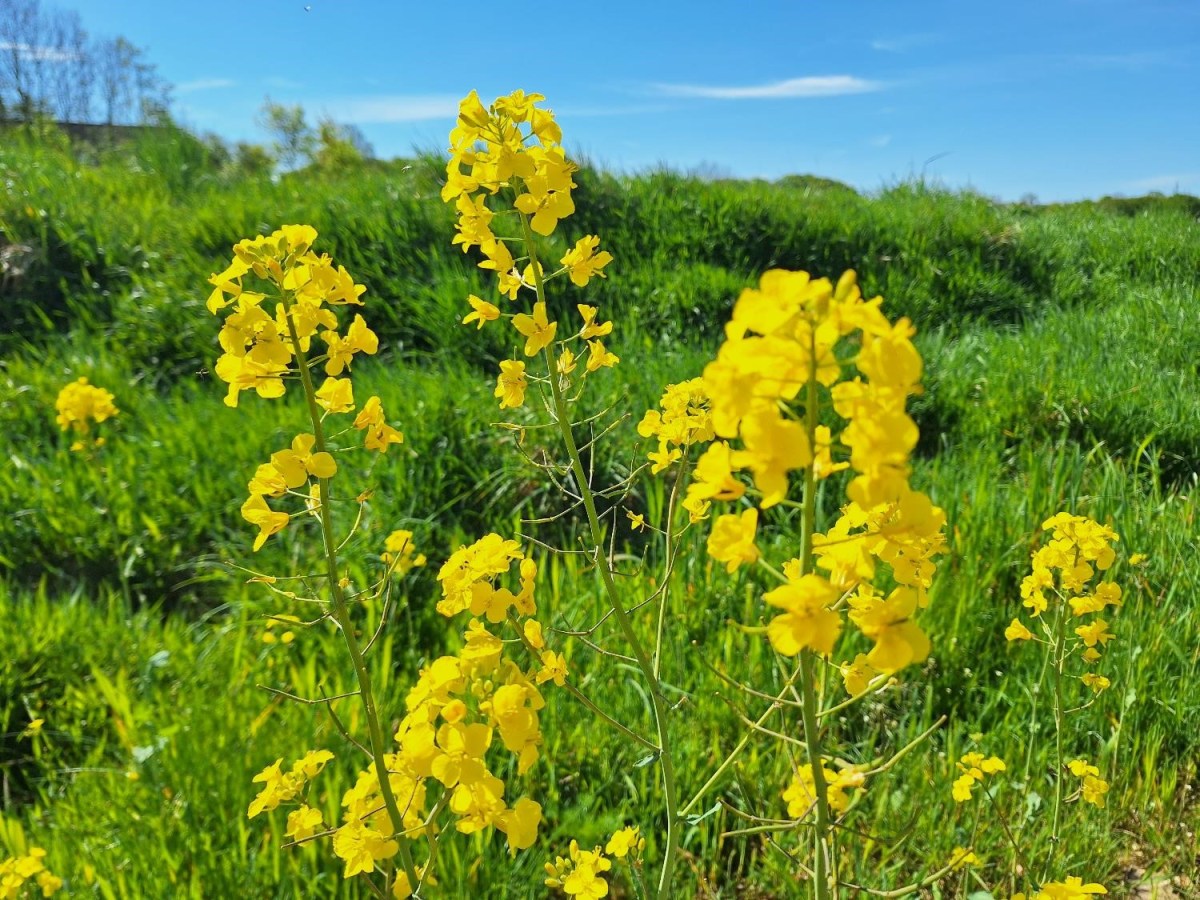 Hvordan kan man fastholde&nbsp;maj?