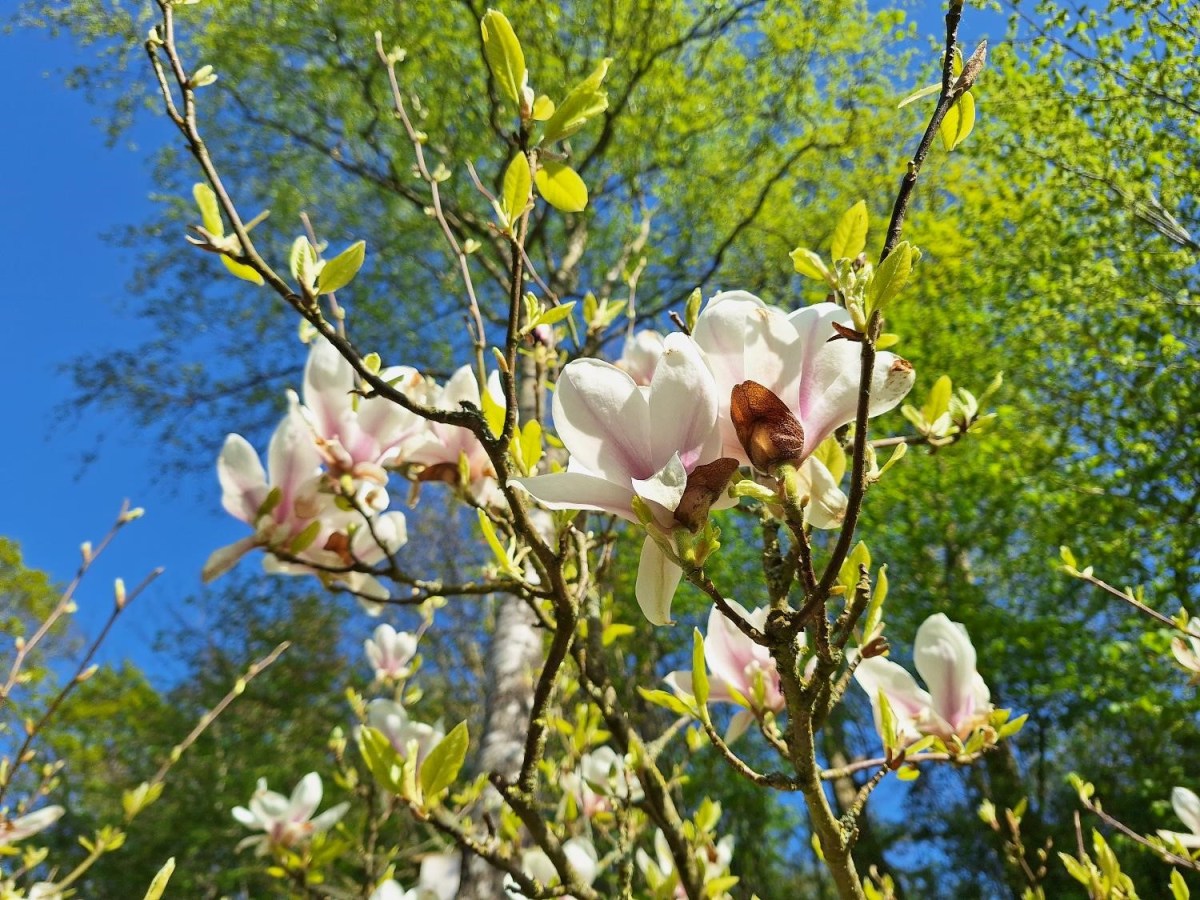 De bedste opskrifter og billeder fra 2024 – del&nbsp;1