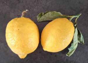 Citroner fra Italien