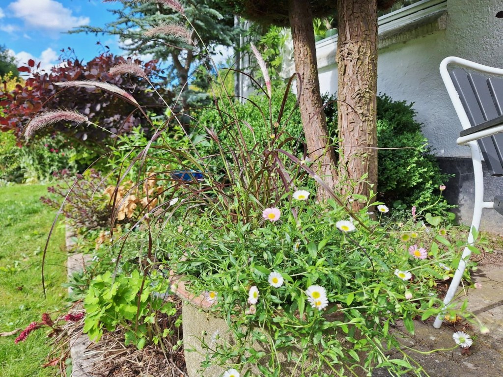 En af de 8 år gamle krukker.