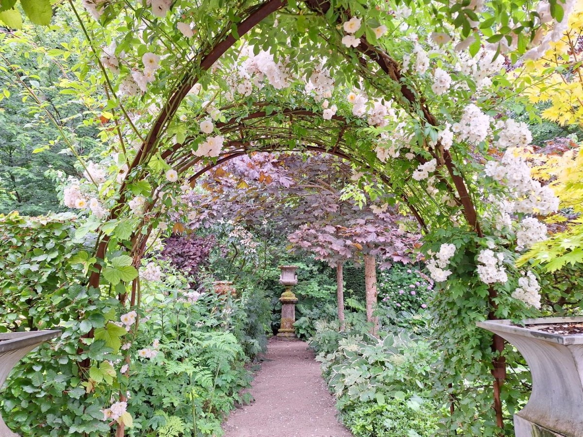 Regnvejrsbesøg i Claus Dalbys&nbsp;have