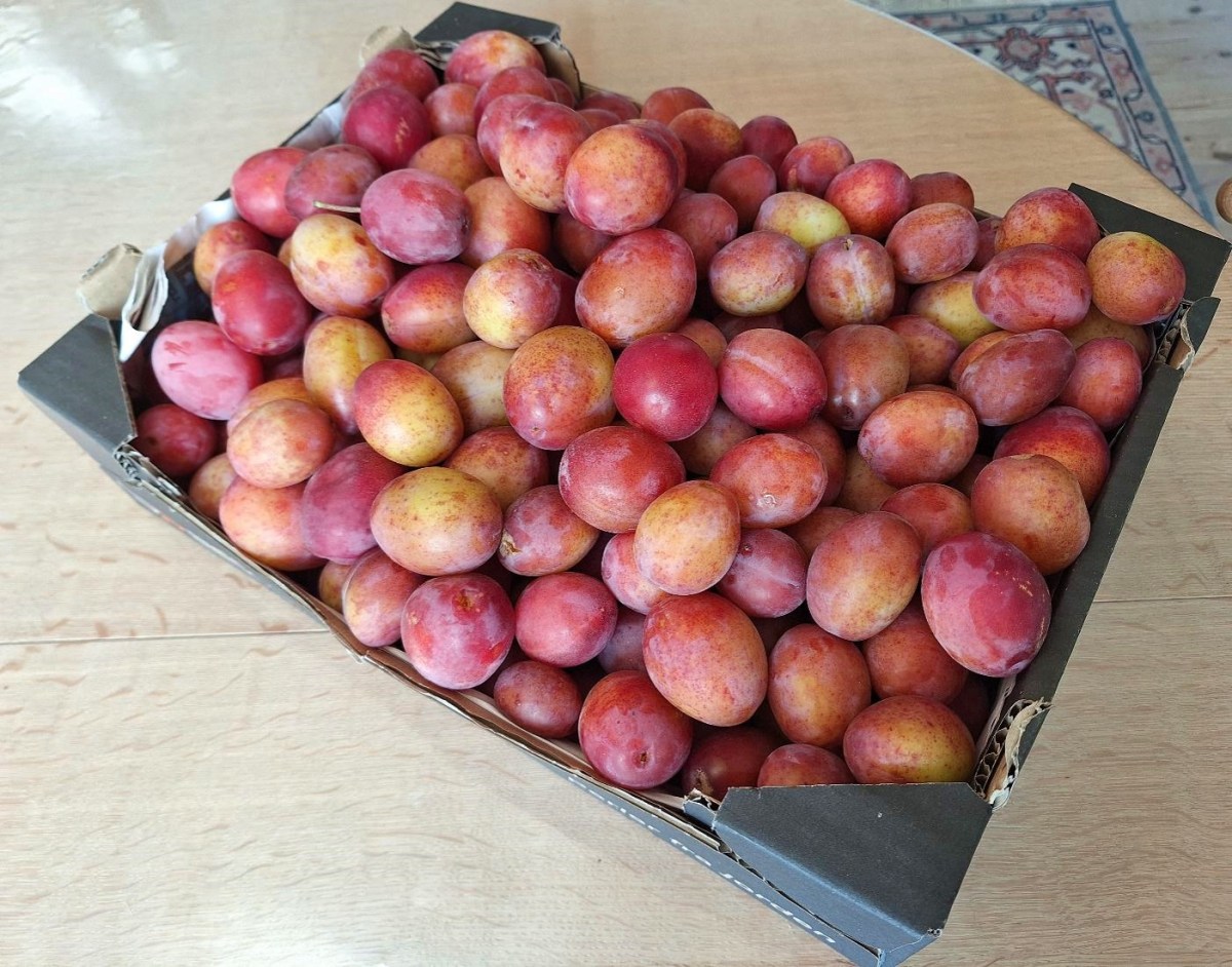 Kager og mad med&nbsp;blommer