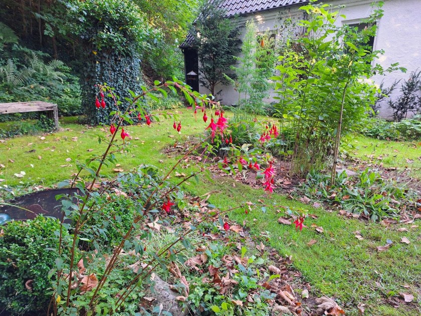 En af græsgangene, der skal nedlægges.