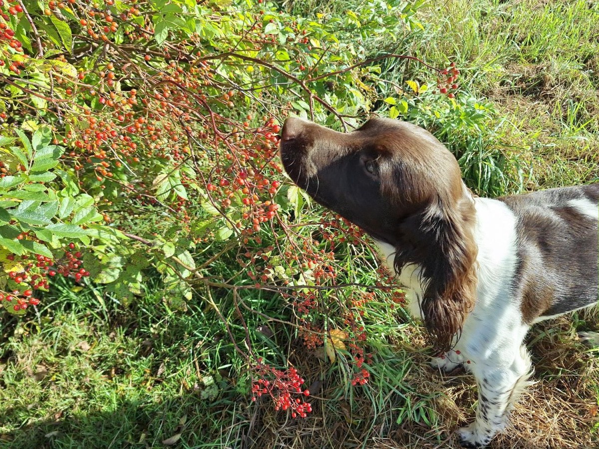 Septembers himmel….