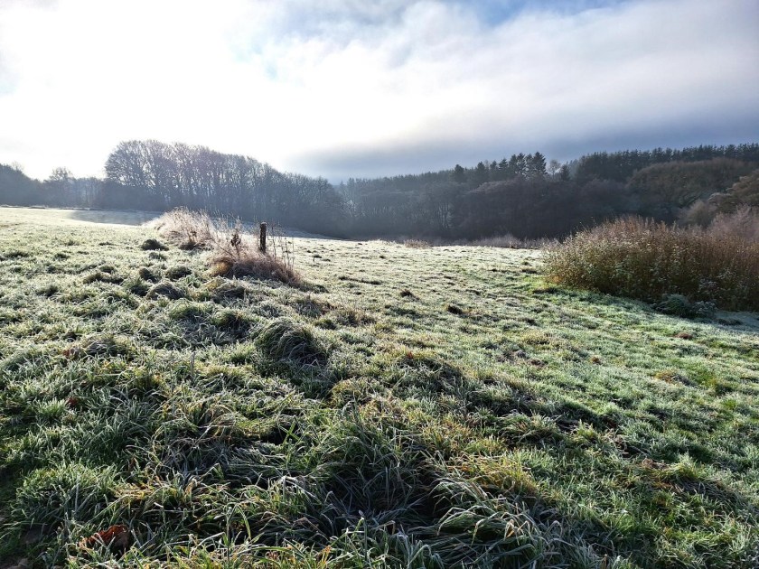 Frosttåge over marken