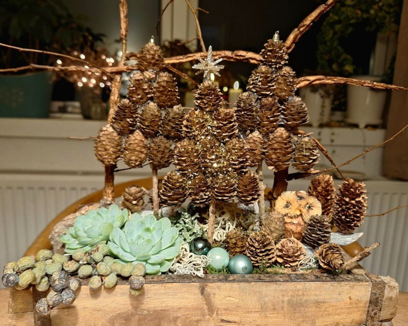 Lille juleskov med kogletræer