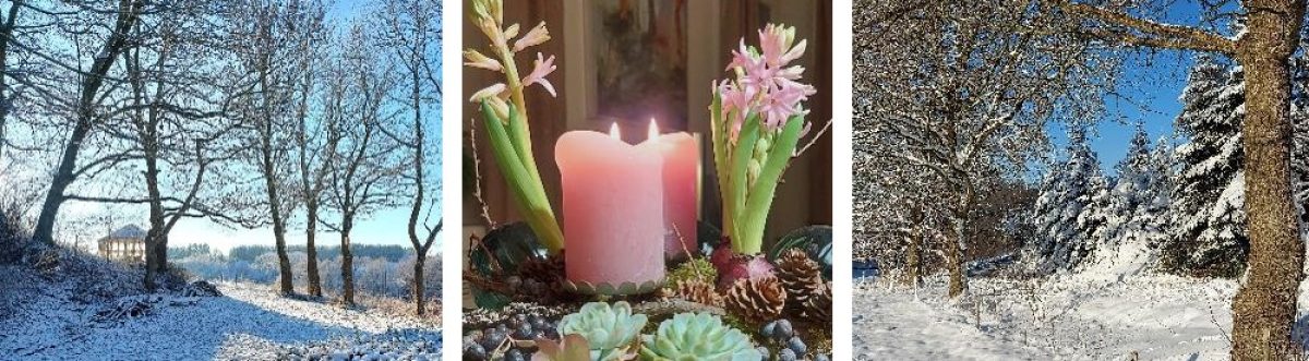 Dalsgaard i Skivholme