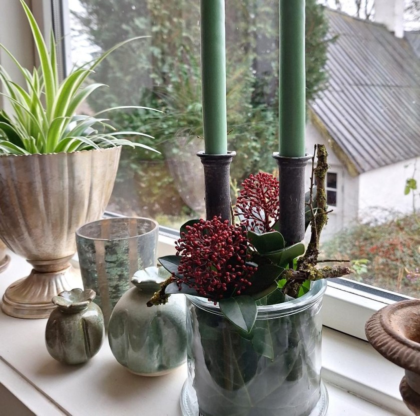 Skimmia i dekoration