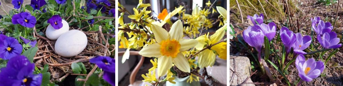 Dalsgaard i Skivholme