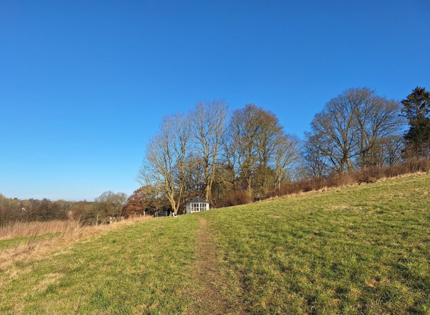 Klar martssol over græsmarken