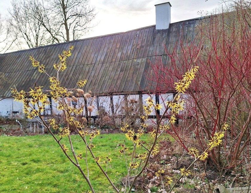 Onsdagstanker: Valgkamp igen