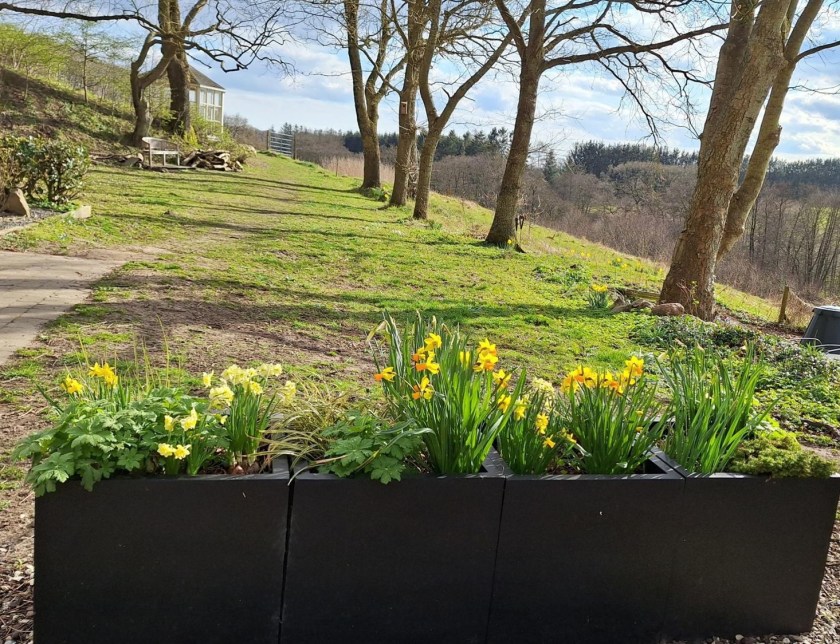 Udsigt fra indkørslen