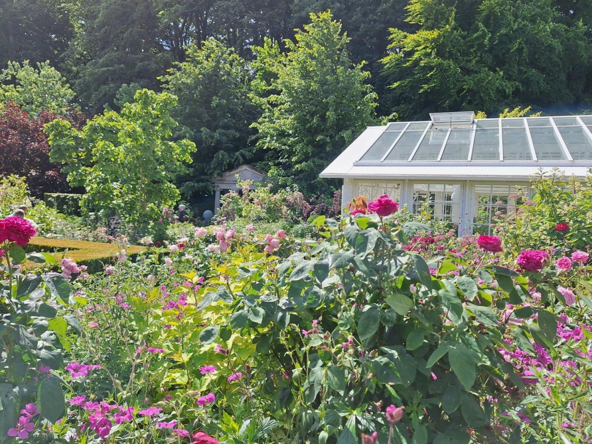 Årets besøg i Claus Dalbys&nbsp;have