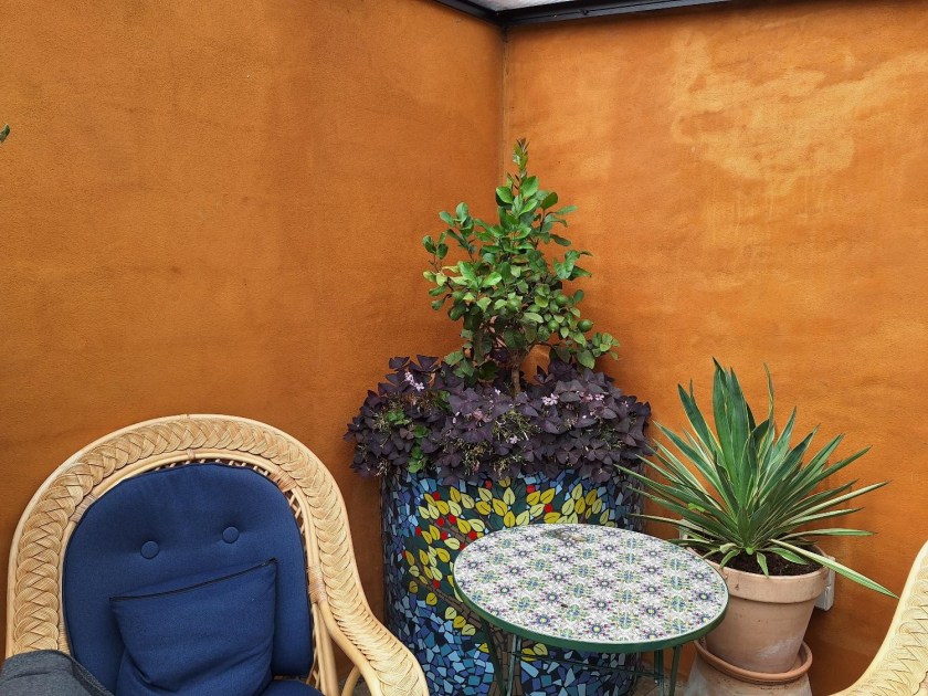 Terracotta bagvæg i orangeriet