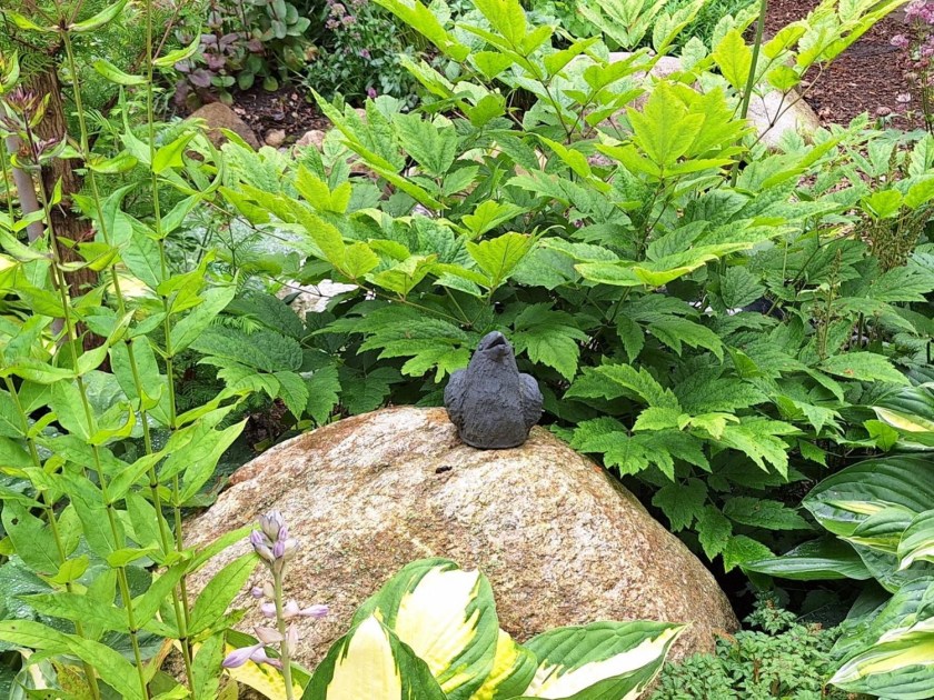 Fra haven ved Røntveds